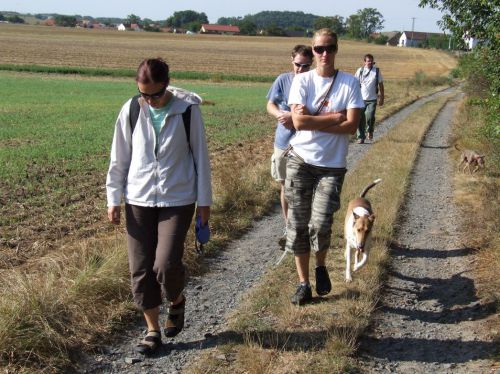 Cliquez pour voir l'image en taille réelle