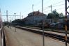 Krmeni_Medvedu-7.jpg