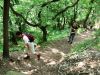 DSCF2731.JPG