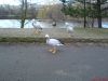 DSC00038.JPG