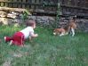 DSCF3795.JPG