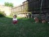 DSCF3800.JPG