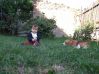DSCF3811.JPG