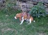 DSCF3823.JPG