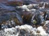 DSCF1543.JPG