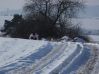 DSCF3750.JPG