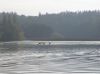 Filename=PA255540.JPG
Filesize=106KB
Dimensions=979x734
Date added=May 31, 2010 PA255540.JPG