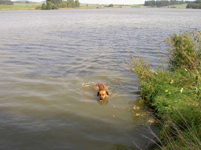 Kattints ide a teljes kép megtekintéséhez