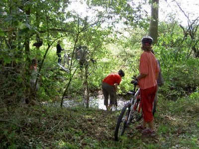 Klik untuk melihat ukuran besar