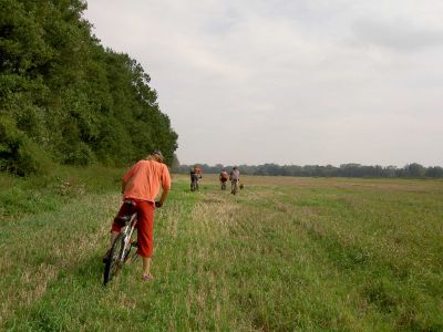 Klik op de foto om originele grootte te bekijken