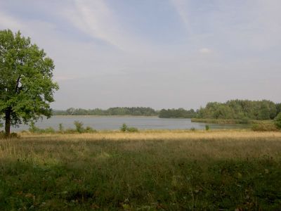 Kattints ide a teljes kép megtekintéséhez