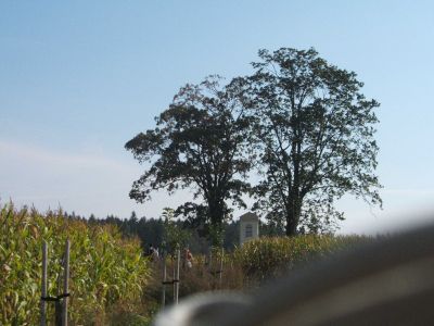 Kattints ide a teljes kép megtekintéséhez