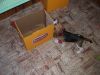 DSCF3216.JPG