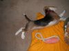 DSCF3218.JPG