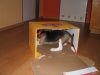 DSCF3220.JPG