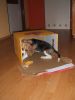 DSCF3222.JPG