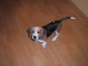 DSCF3223.JPG