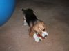 DSCF3225.JPG