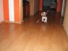 DSCF3228.JPG