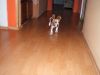 DSCF3229.JPG