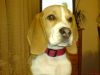 DSC00361.JPG