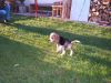 DSCF3128.JPG