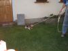 DSCF3140.JPG