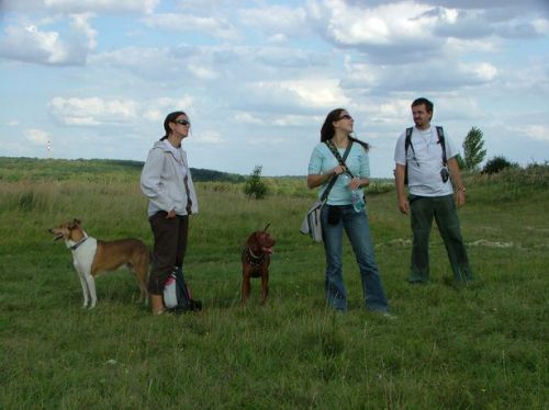Kattints ide a teljes kép megtekintéséhez