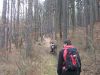 DSCF4140.JPG