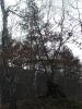 DSCF4159.JPG