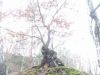 DSCF4160.JPG