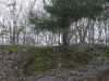 DSCF4167.JPG