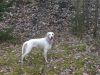 DSCF4168.JPG