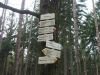 DSCF4181.JPG