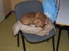 DSCF6693.JPG