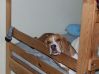 DSCF6706.JPG