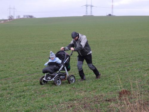 Cliquez pour voir l'image en taille réelle