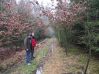 DSCF0889.JPG