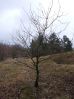 DSCF0911.JPG