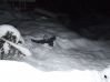 DSCF3613.JPG