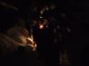 DSCF3638.JPG