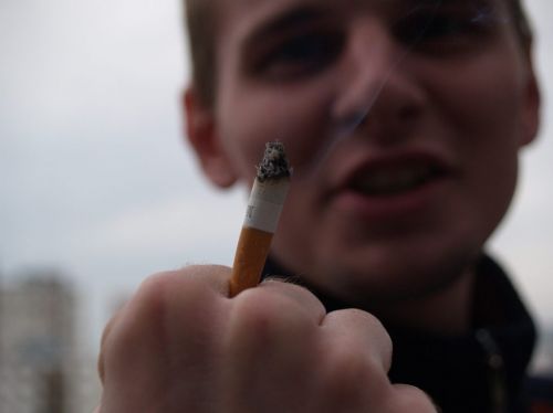 Klik op de foto om originele grootte te bekijken