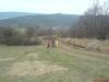 Filename=DSC00142.JPG
Filesize=275KB
Dimensions=1632x1224
Date added=Apr 10, 2007 DSC00142.JPG