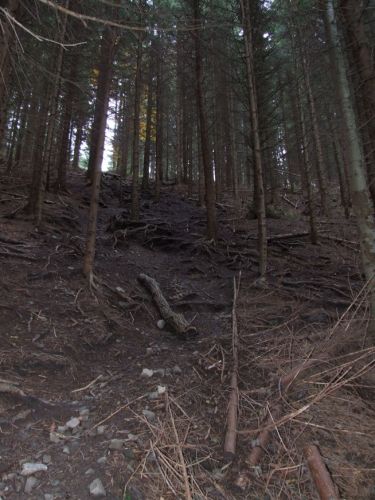 Klikkaa kuvaa nähdäksesi se täysikokoisena