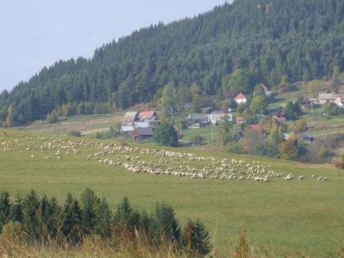 Kattints ide a teljes kép megtekintéséhez
