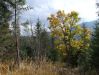 DSCF6017.JPG