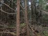 DSCF6020.JPG
