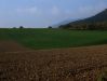 DSCF6034.JPG