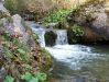 DSCF6061.JPG