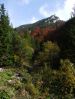 DSCF6068.JPG